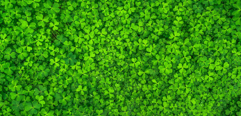Green ways to spend St. Patrick’s Day